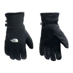 The North Face Shelbe Raschel Etip Glove Womens